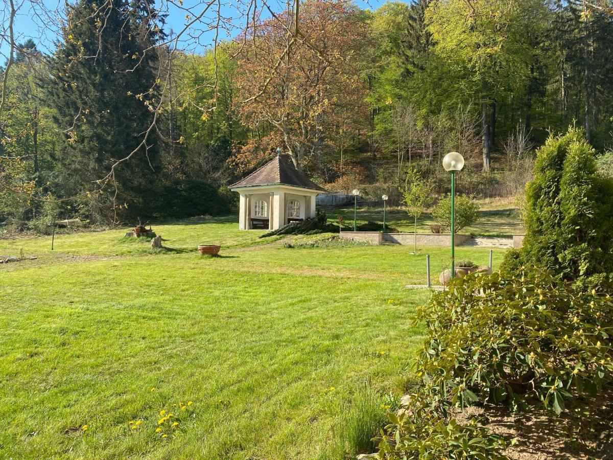 Parkhotel Bad Harzburg Dış mekan fotoğraf