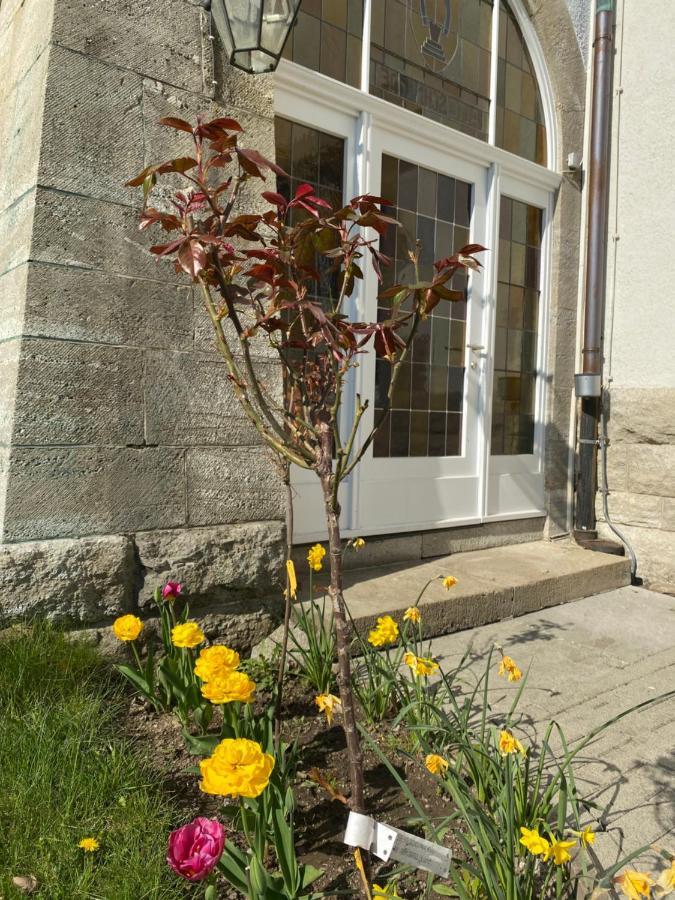 Parkhotel Bad Harzburg Dış mekan fotoğraf