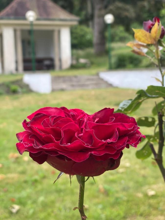 Parkhotel Bad Harzburg Dış mekan fotoğraf