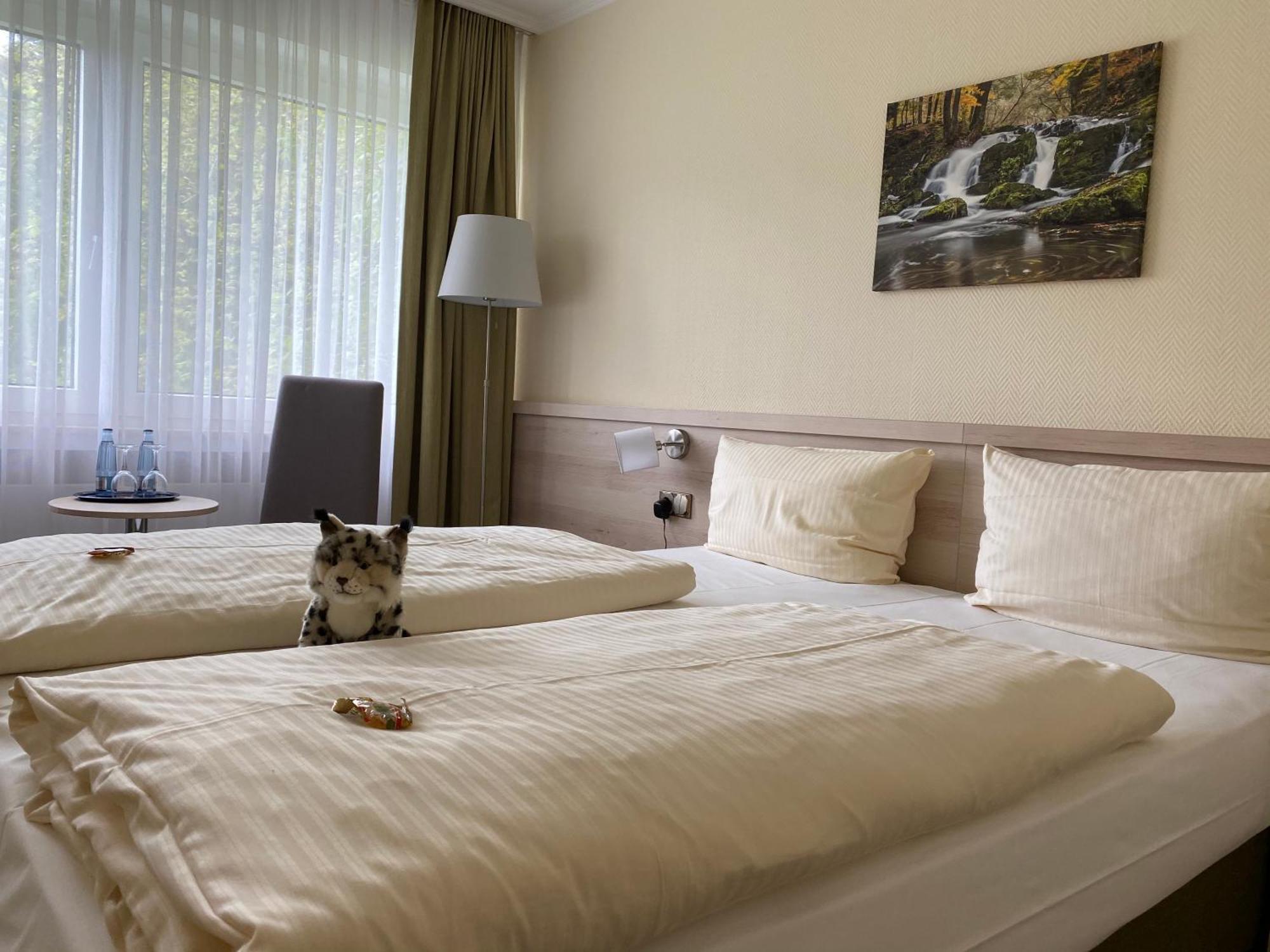 Parkhotel Bad Harzburg Dış mekan fotoğraf